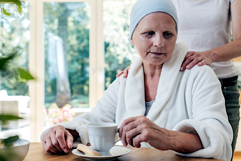 Pine Needle tea for Cancer Prevention